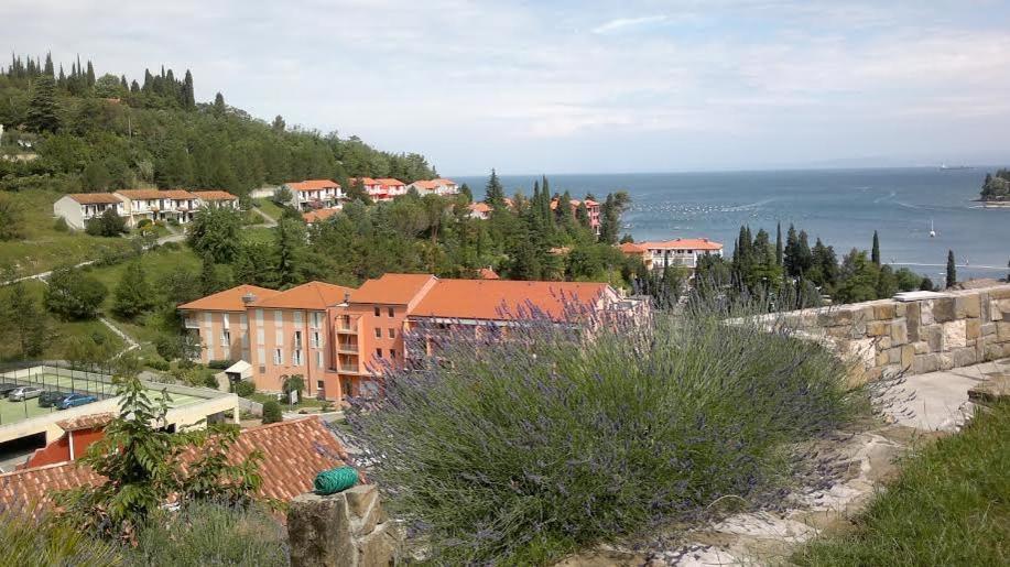 Heart Of Strunjan Apartments Al Exterior foto